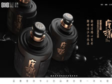 重慶藍色之鷹品牌營銷策劃有限公司網(wǎng)站 正式上線